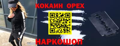шишки Аргун
