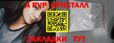 шишки Аргун