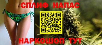 шишки Аргун