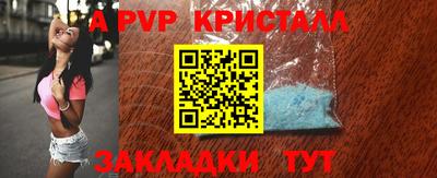 шишки Аргун