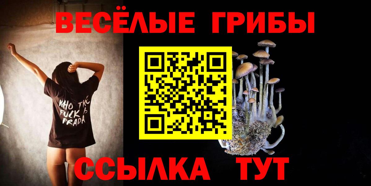 Галлюциногенные грибы прущие грибы  Вход с VPN  Галлюциногенные грибы мицелий  Волгодонск 